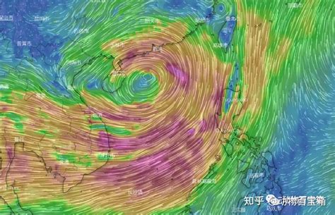 火紋身 北半球台風 逆時針